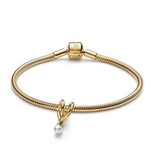 Pandora Gioiello Starter Set